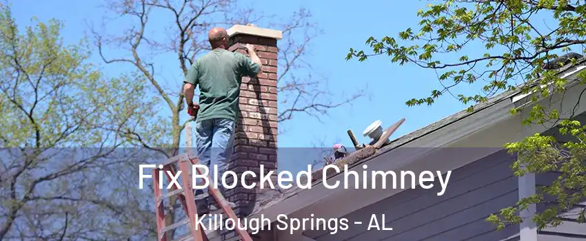 Fix Blocked Chimney Killough Springs - AL