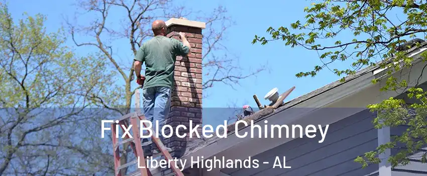 Fix Blocked Chimney Liberty Highlands - AL