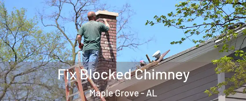 Fix Blocked Chimney Maple Grove - AL