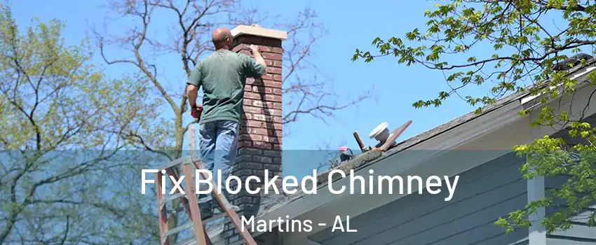 Fix Blocked Chimney Martins - AL