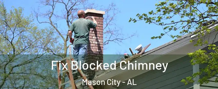 Fix Blocked Chimney Mason City - AL