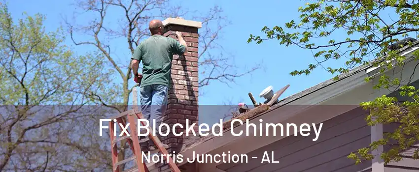 Fix Blocked Chimney Norris Junction - AL