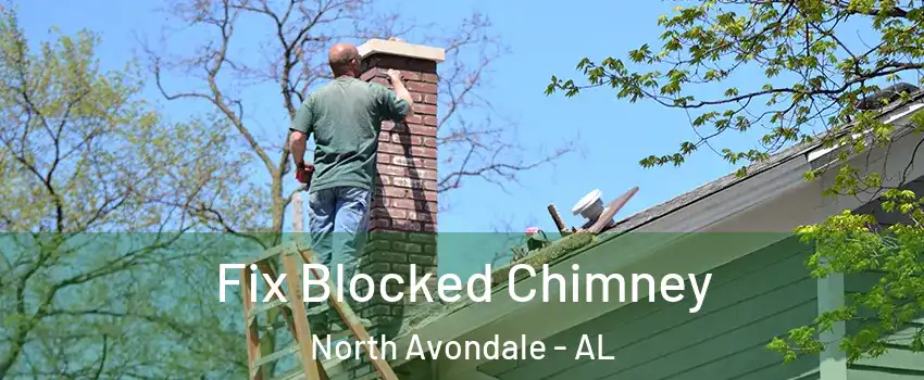 Fix Blocked Chimney North Avondale - AL