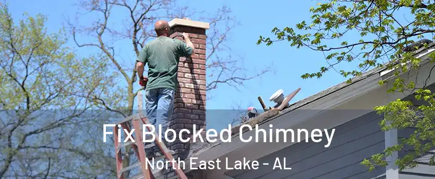 Fix Blocked Chimney North East Lake - AL