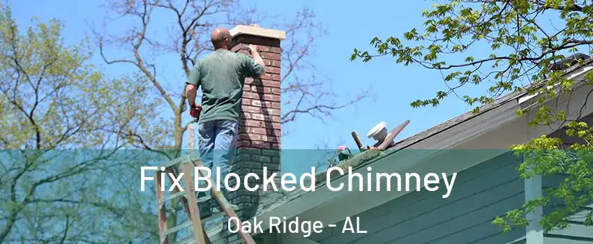 Fix Blocked Chimney Oak Ridge - AL