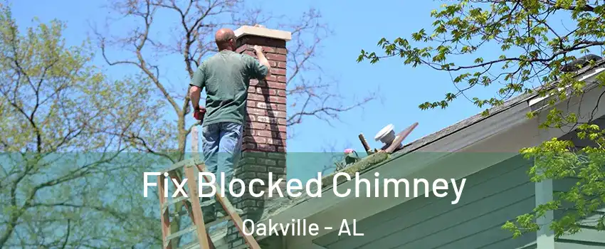 Fix Blocked Chimney Oakville - AL