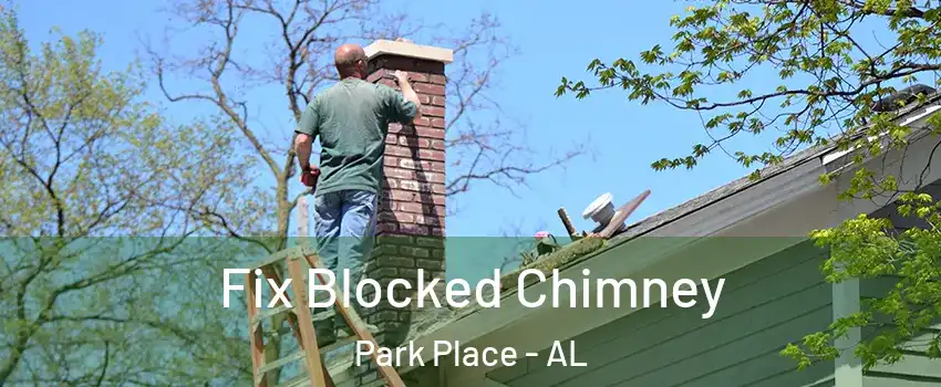 Fix Blocked Chimney Park Place - AL