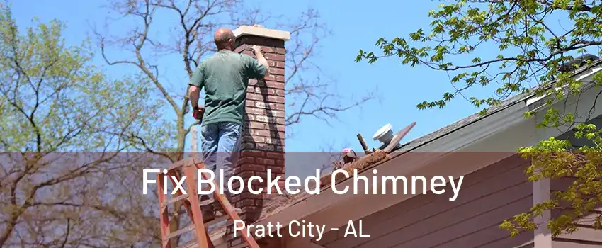 Fix Blocked Chimney Pratt City - AL