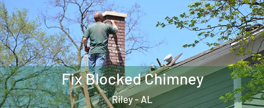 Fix Blocked Chimney Riley - AL