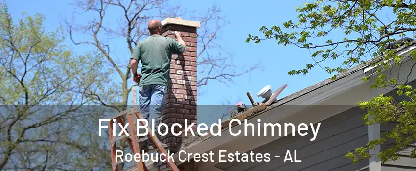 Fix Blocked Chimney Roebuck Crest Estates - AL