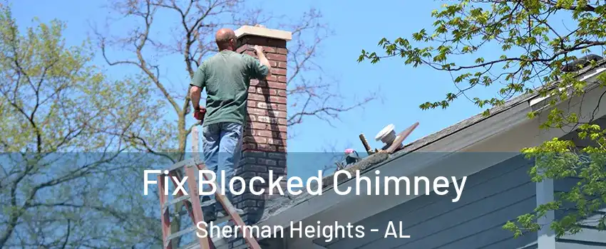 Fix Blocked Chimney Sherman Heights - AL