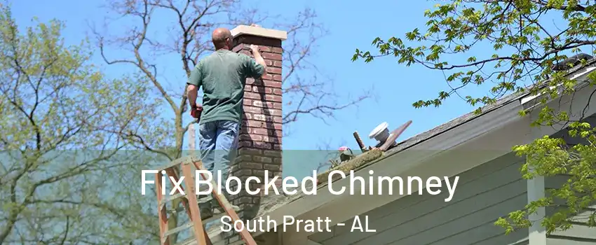Fix Blocked Chimney South Pratt - AL