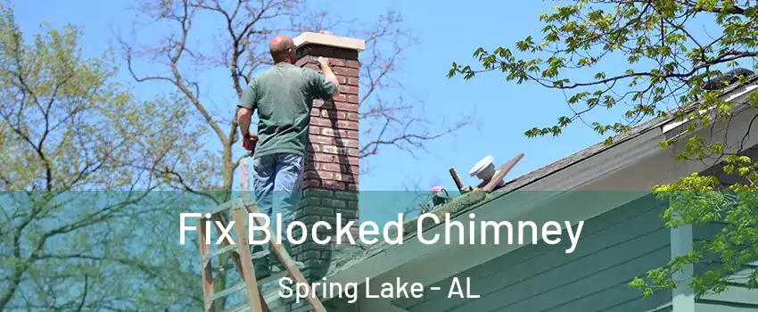 Fix Blocked Chimney Spring Lake - AL