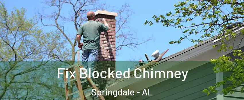 Fix Blocked Chimney Springdale - AL