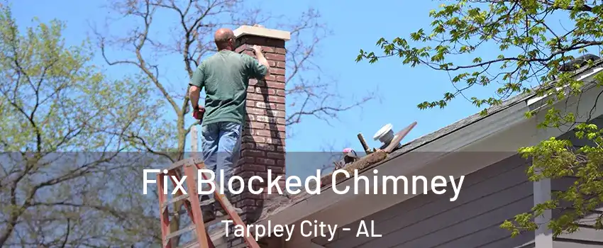 Fix Blocked Chimney Tarpley City - AL