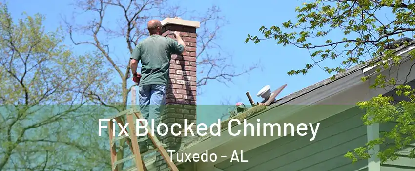 Fix Blocked Chimney Tuxedo - AL