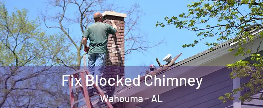 Fix Blocked Chimney Wahouma - AL