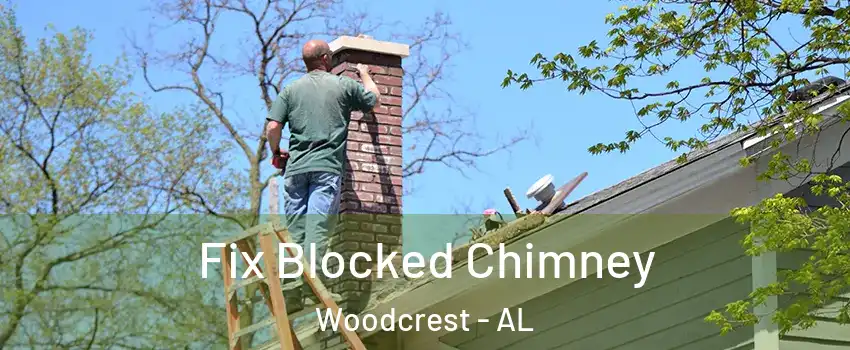 Fix Blocked Chimney Woodcrest - AL