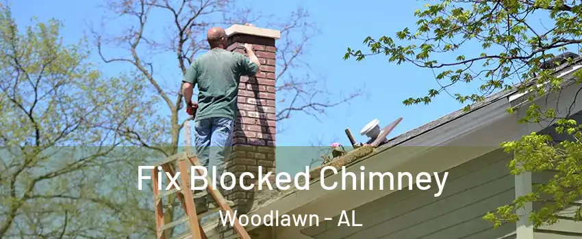 Fix Blocked Chimney Woodlawn - AL