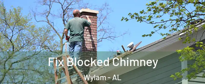 Fix Blocked Chimney Wylam - AL