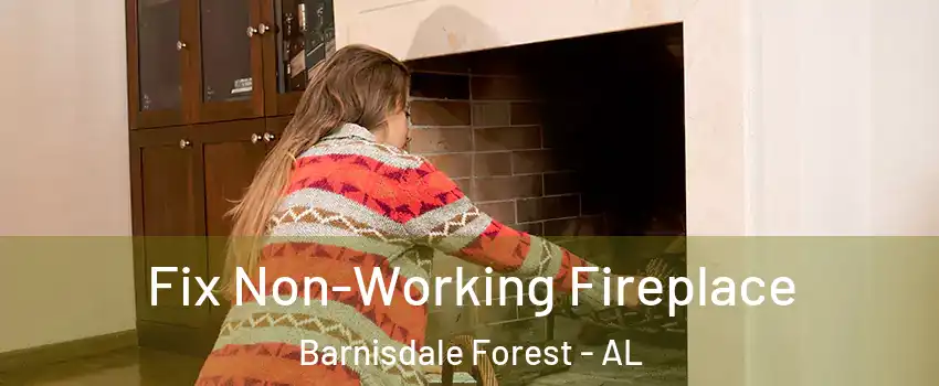Fix Non-Working Fireplace Barnisdale Forest - AL