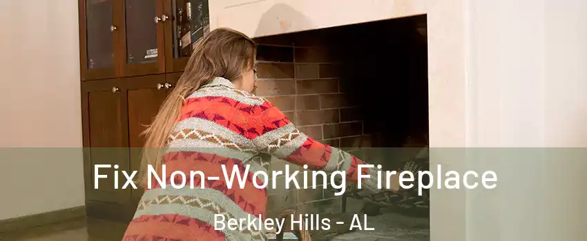 Fix Non-Working Fireplace Berkley Hills - AL