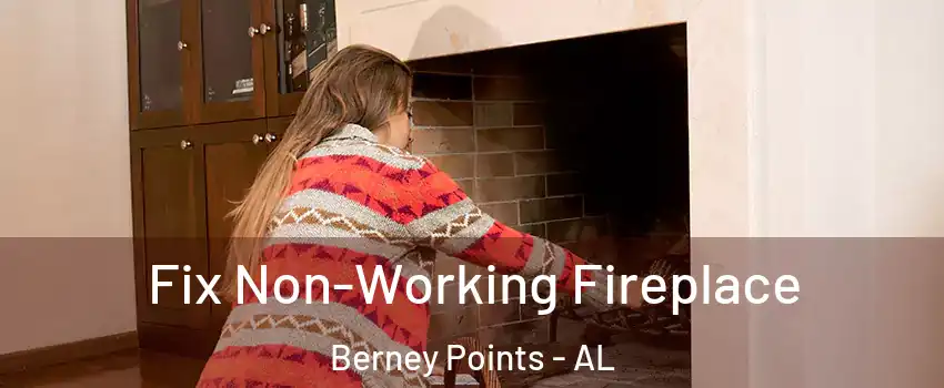Fix Non-Working Fireplace Berney Points - AL