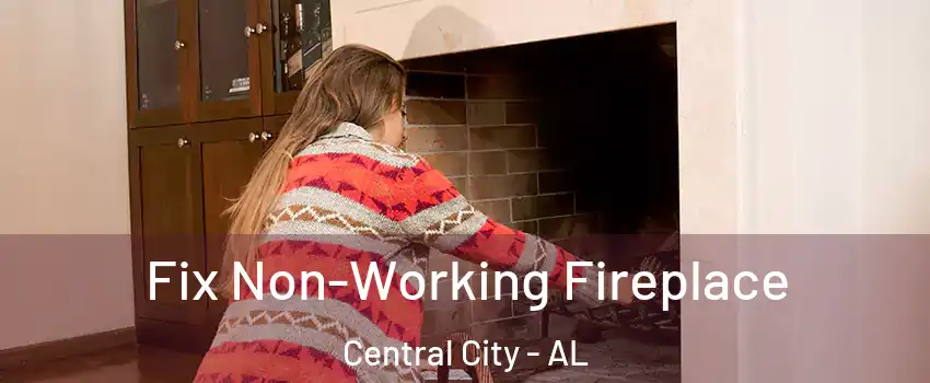 Fix Non-Working Fireplace Central City - AL