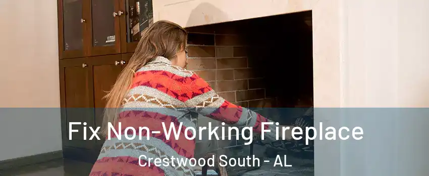 Fix Non-Working Fireplace Crestwood South - AL