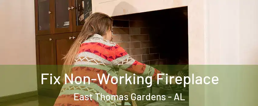 Fix Non-Working Fireplace East Thomas Gardens - AL