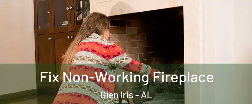 Fix Non-Working Fireplace Glen Iris - AL