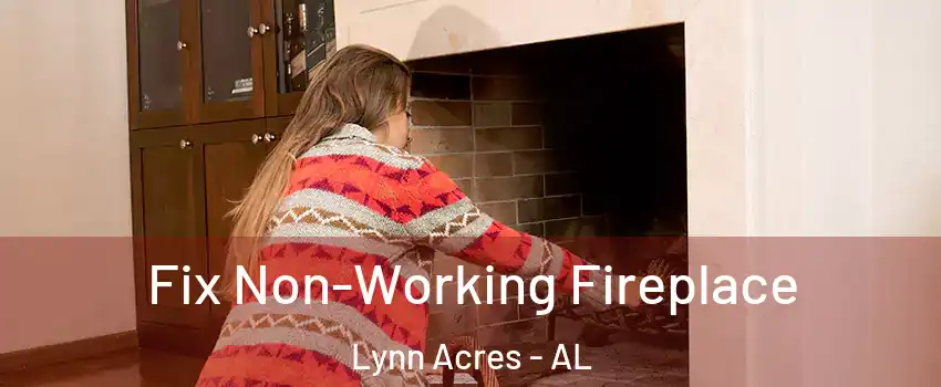 Fix Non-Working Fireplace Lynn Acres - AL