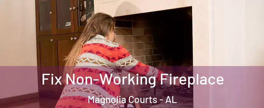 Fix Non-Working Fireplace Magnolia Courts - AL