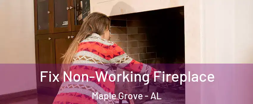 Fix Non-Working Fireplace Maple Grove - AL