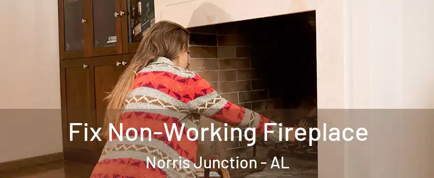Fix Non-Working Fireplace Norris Junction - AL