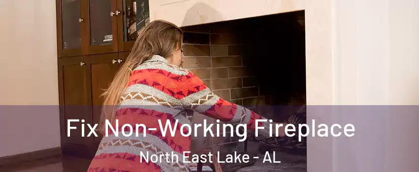 Fix Non-Working Fireplace North East Lake - AL