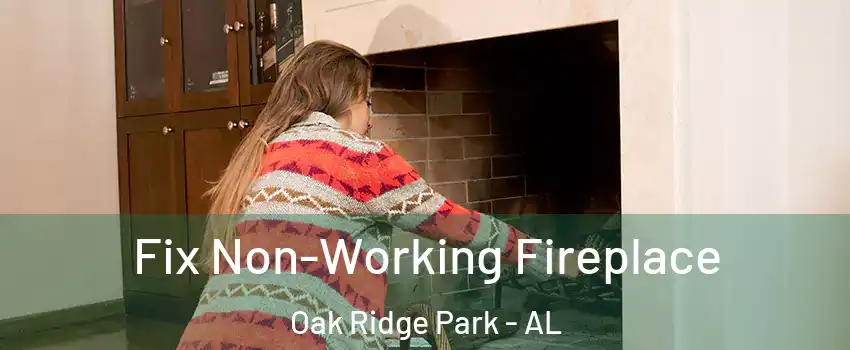 Fix Non-Working Fireplace Oak Ridge Park - AL