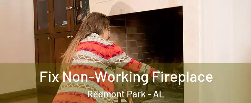Fix Non-Working Fireplace Redmont Park - AL