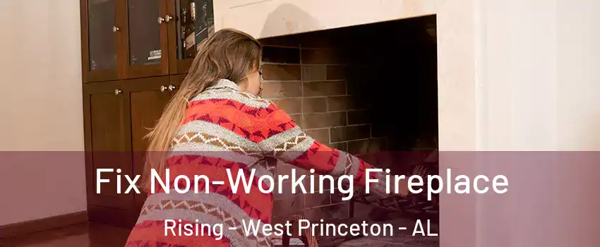 Fix Non-Working Fireplace Rising - West Princeton - AL