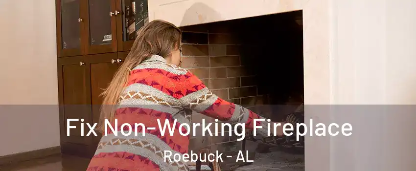 Fix Non-Working Fireplace Roebuck - AL