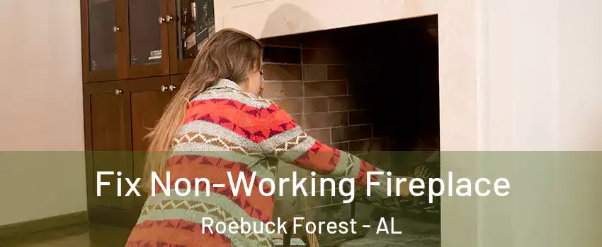 Fix Non-Working Fireplace Roebuck Forest - AL