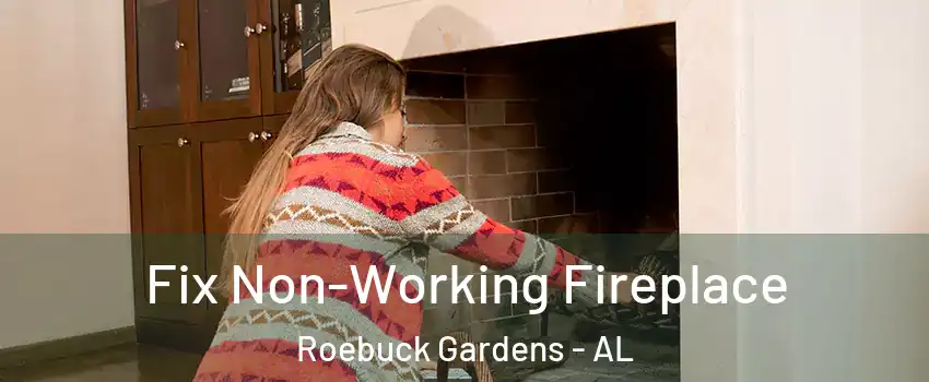 Fix Non-Working Fireplace Roebuck Gardens - AL