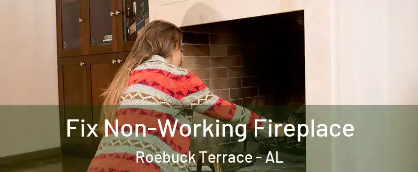 Fix Non-Working Fireplace Roebuck Terrace - AL
