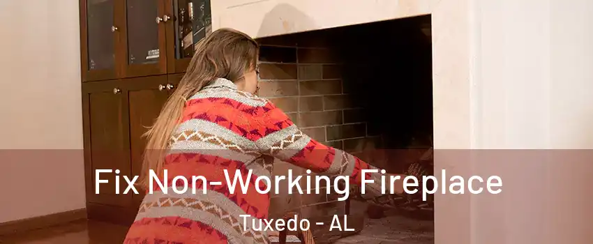 Fix Non-Working Fireplace Tuxedo - AL