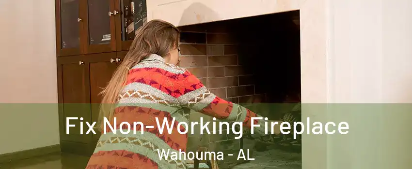 Fix Non-Working Fireplace Wahouma - AL