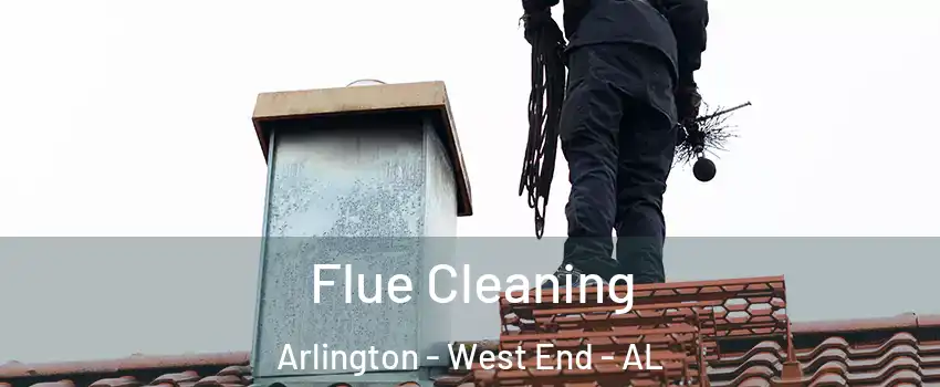 Flue Cleaning Arlington - West End - AL