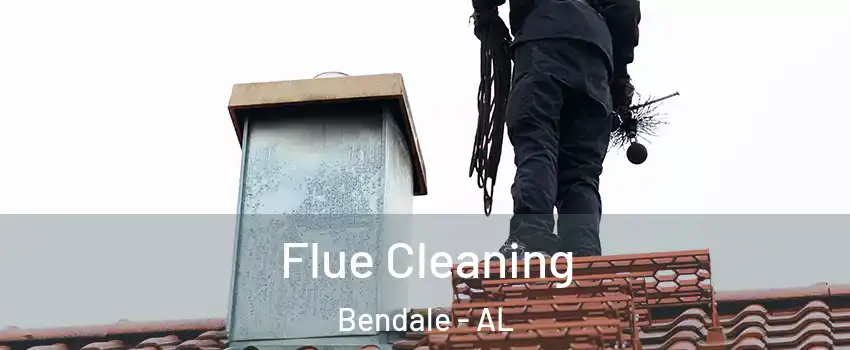 Flue Cleaning Bendale - AL