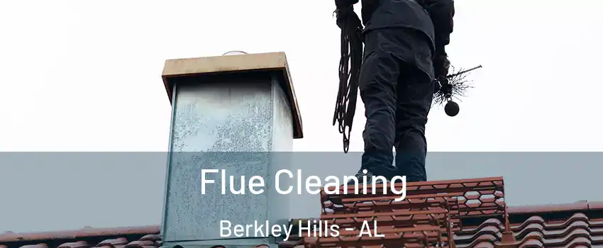 Flue Cleaning Berkley Hills - AL