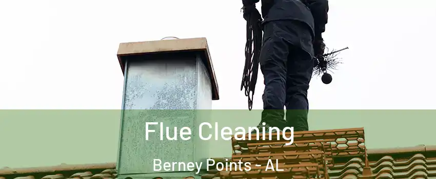Flue Cleaning Berney Points - AL