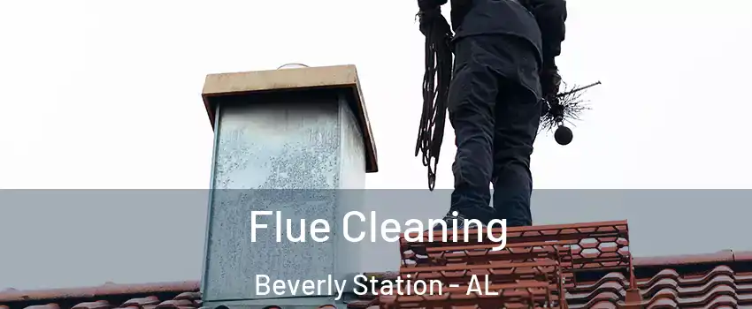 Flue Cleaning Beverly Station - AL